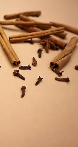 cinnamon products by Ecopol Tech