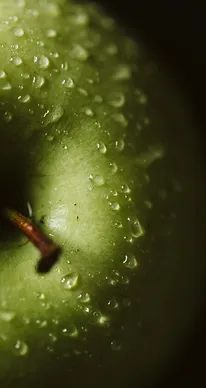 ECOCAPS-GREEN APPLE products by Ecopol Tech