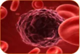 Oncology