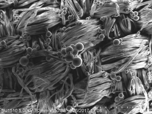 Microcápsulas que se adhieren a los tejidos para liberar lentamente ingredientes activos, ofreciendo frescura y funcionalidad a largo plazo, como fragancias o propiedades antibacterianas.